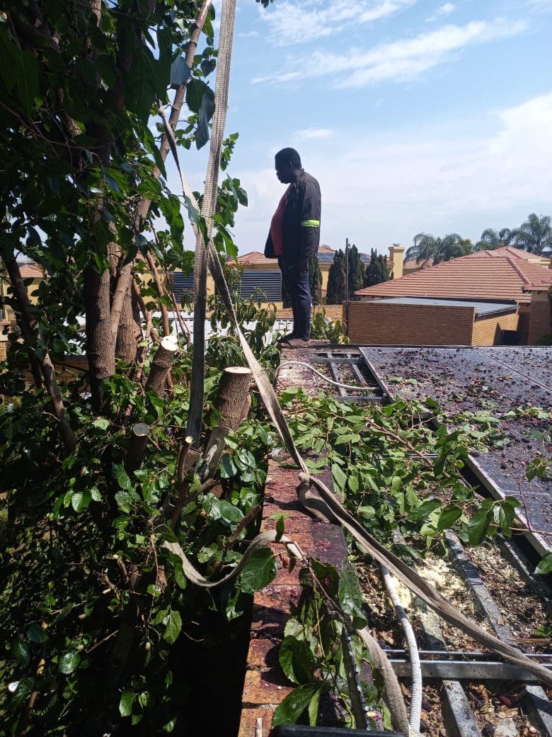 Project execution 48