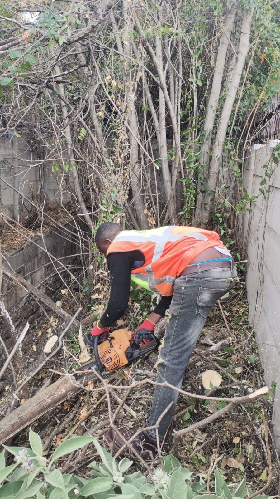 Project execution 54