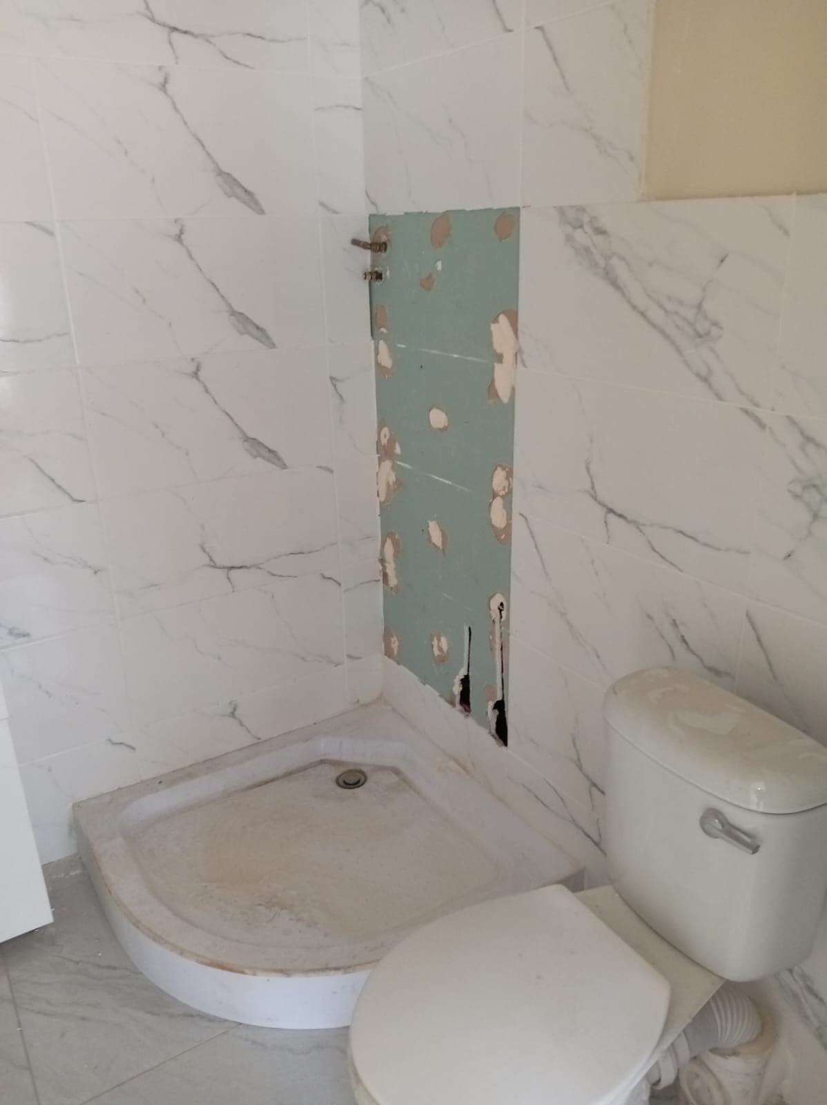 Project execution 29