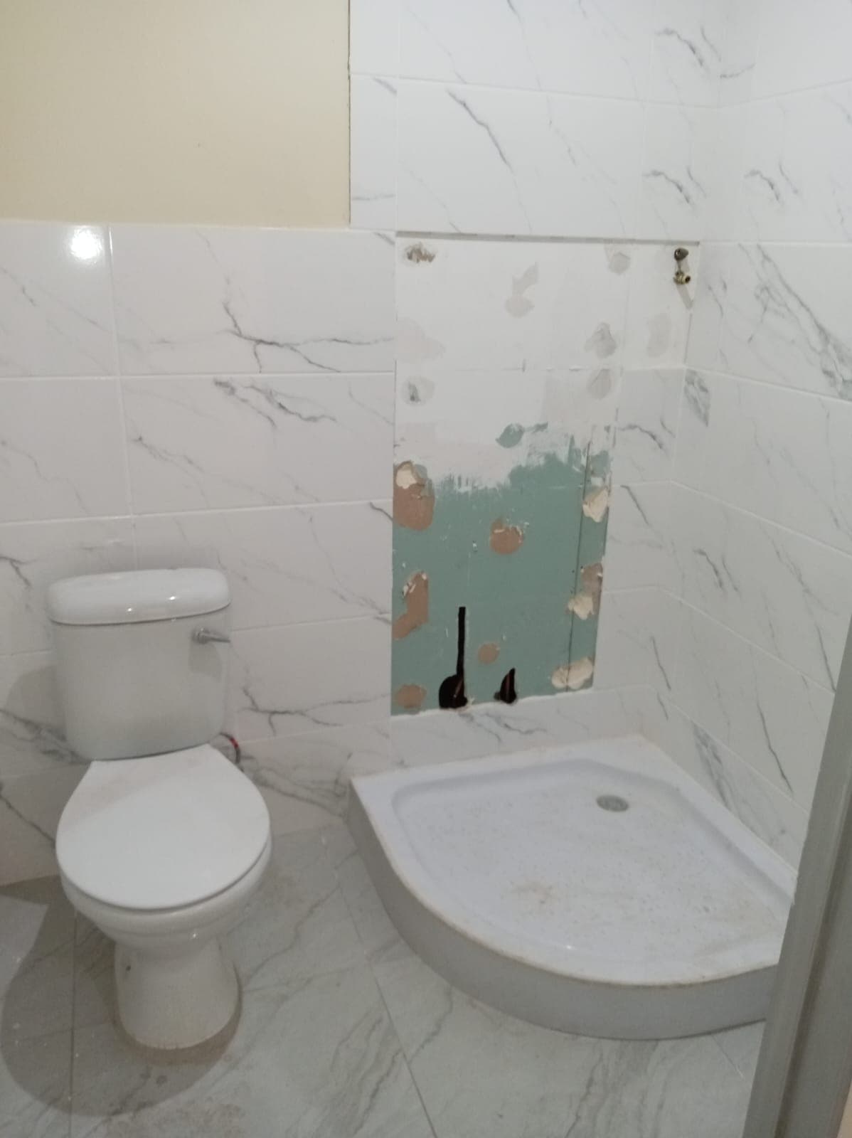 Project execution 30